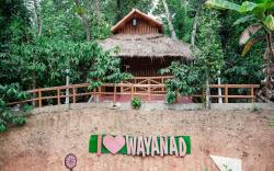 Wayanad Vista Palm View Homes