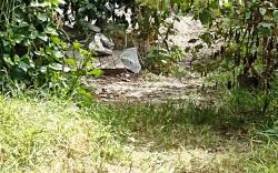 Mindfulness Glamping, Retiro de Yoga,