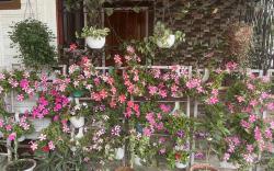 Amazing Homestay Near Nemcare Hospital 
