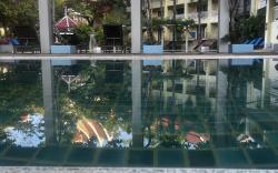 Successive Resort 