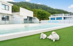 Gyeongju Purspet Dog Pension