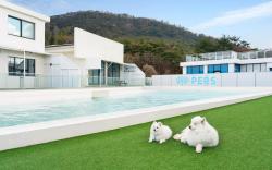 Gyeongju Purspet Dog Pension