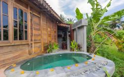 Abian Ubud View