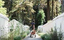 AutoCamp Russian River