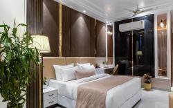 Hotel Aroma Plaza  Near Delhi Airport