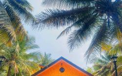 Coimbatore Premium Farm Villa Near Isha ,Adiyogi.