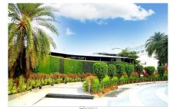 Mirasol Resort