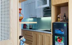 Sky OASIS SP.31.06 QuynhDao HomeStay Ecopark, HY