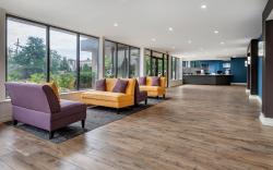 Amwell Suites- Somerset