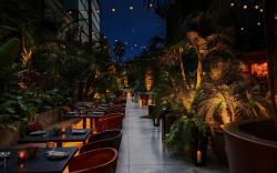 HOLLYWOOD VOLUME, a Tribute Portfolio Hotel