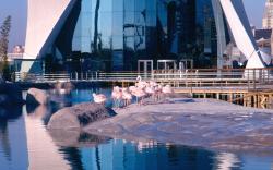 ibis budget Valencia Centro Puerto