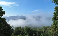 Wild Wolf den Homestay 野狼穴
