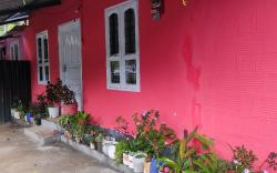 Royal villa homestay 