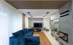 Luxurious villa with pool near Energylandiai