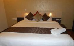 Hotel Omicron 1 BHK Studio room