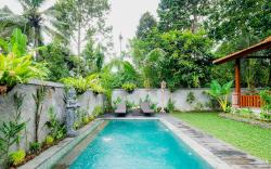 Ubud brand new 1 bdr villa with garden view