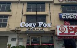 OYO 91158 Cozy Fox Hotel