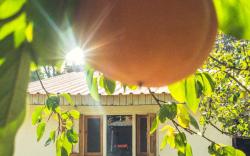 Persimmon Farmstead