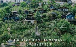 Cú Trên Cây Homestay