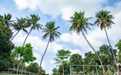 Ambik Riverside Camp And Resort