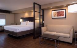 Holiday Inn Express & Suites San Antonio Medical-Six Flags By IHG