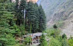 The Woods - Tirthan Valley