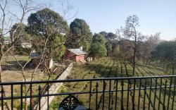 Mastiff Villa Camellia by OTHPL