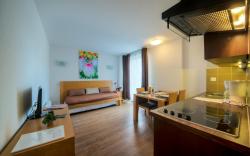 Comfort Aparthotel Mutzig Portes d'Alsace