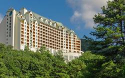 Yangji Pine Resort