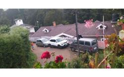 Vineyard Homestay