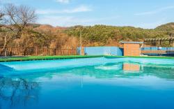 Gapyeong High Mong Glamping & Camping