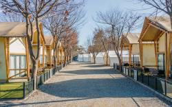 Jat Hyanggi Pureun Forest Campground