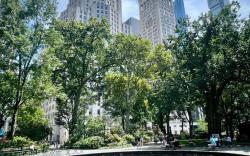 Salute de Madison Park Apartments
