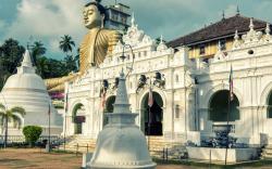 Tamasha Mango Home Stay