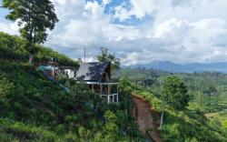 Solitary Green Cabins