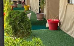  Bambooz Bel cottage and camps | Kasauli