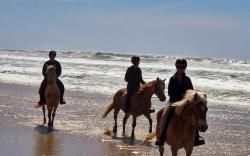 Au Coeur du Ranch: Chambres d'Hôtes dans le Médoc