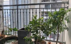 Luxury 2br Atp Lanmark5 building