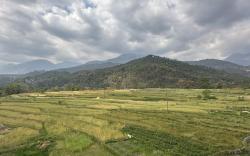 Dhauladhar Vista