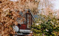 Cottage with a hot tub - In The Woods