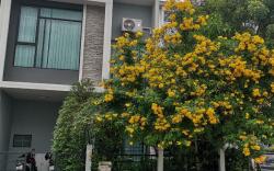 Cozy house near Dongmueang airport