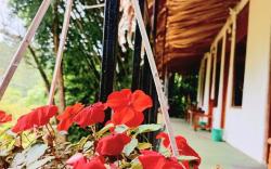 Ella Forest Bath Hostel