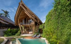 Emana Bambooscape