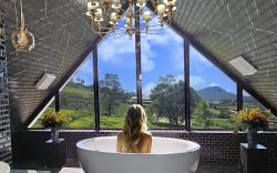 Private Villa by the Tea Estate