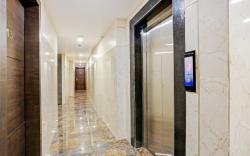 Collection O Vertigo Suite