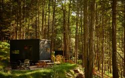 Postcard Cabins Piney Woods
