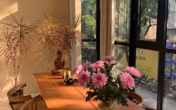 Energy Meets Tranquility