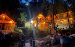 The Cozy Cabin Jibhi