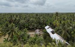 Cồn Ốc Ecolodge Homestay