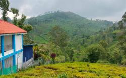 Nest Valley Kotagiri 
